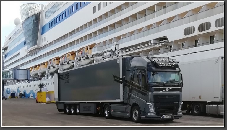 Gieseke Frigoline europaweite Transporte